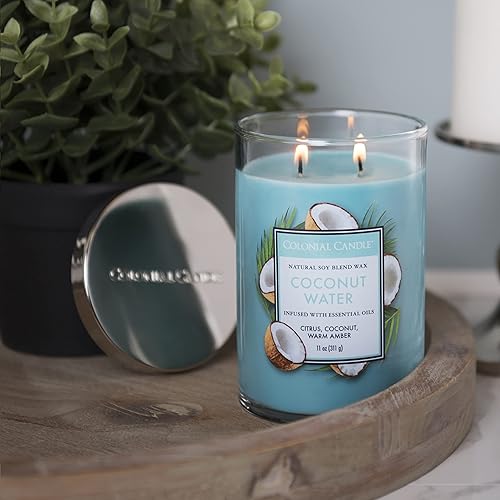 Vista 74 de Colonial Candle Vela perfumada en frasco, cilindros clásicos, brillo navideño, 2 mechas, 19 onzas, morado