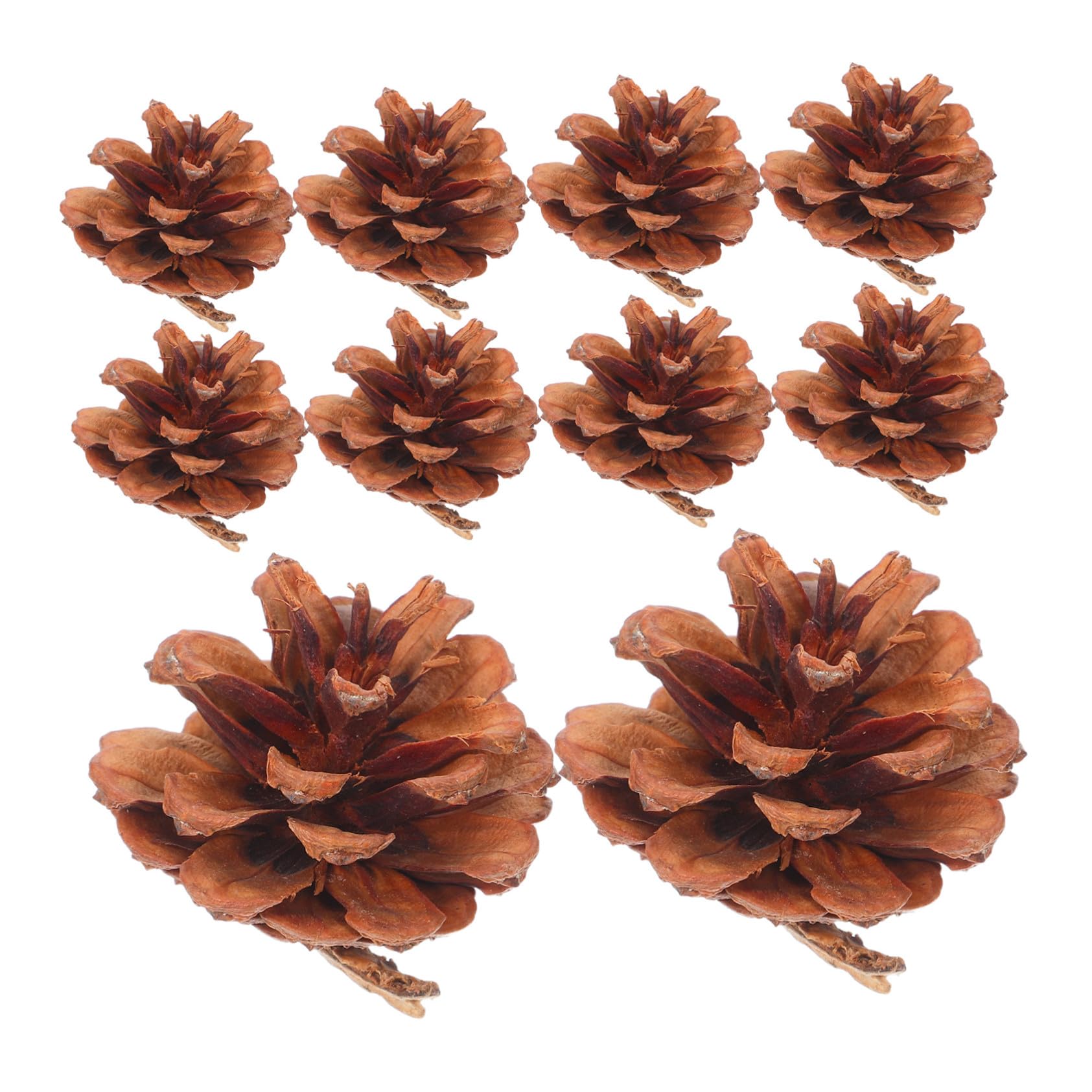 130 mini pommes de pin naturelles pour décorations de Noël et Thanksgiving