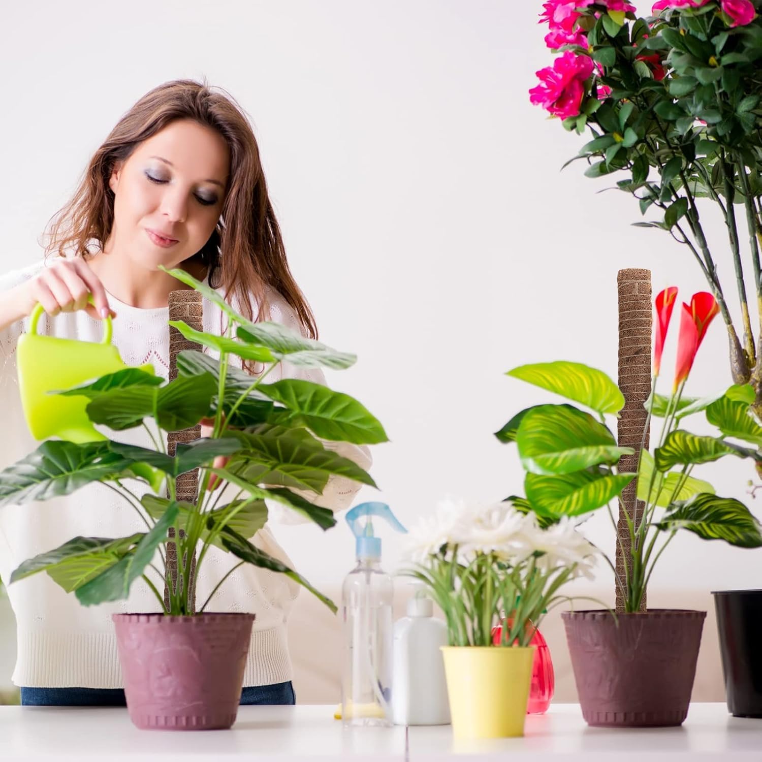 Support de plante de 30 cm en tiges de mousse, bâton de mousse pour Monstera et plantes grimpantes