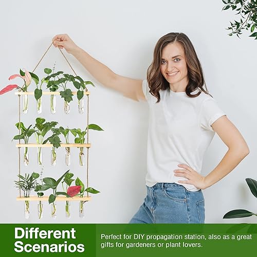 Vista 29 de XXXFLOWER Estación de propagación para colgar en la pared con soporte de madera, 5 tubos de ensayo de vidrio, 3 macetas escalonadas, terrario