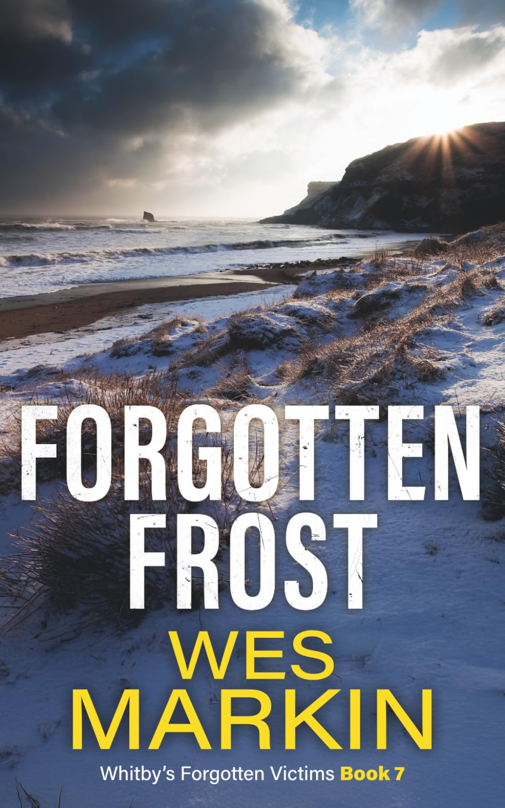 Forgotten Frost: Whitby's Forgotten Victims, Book 7