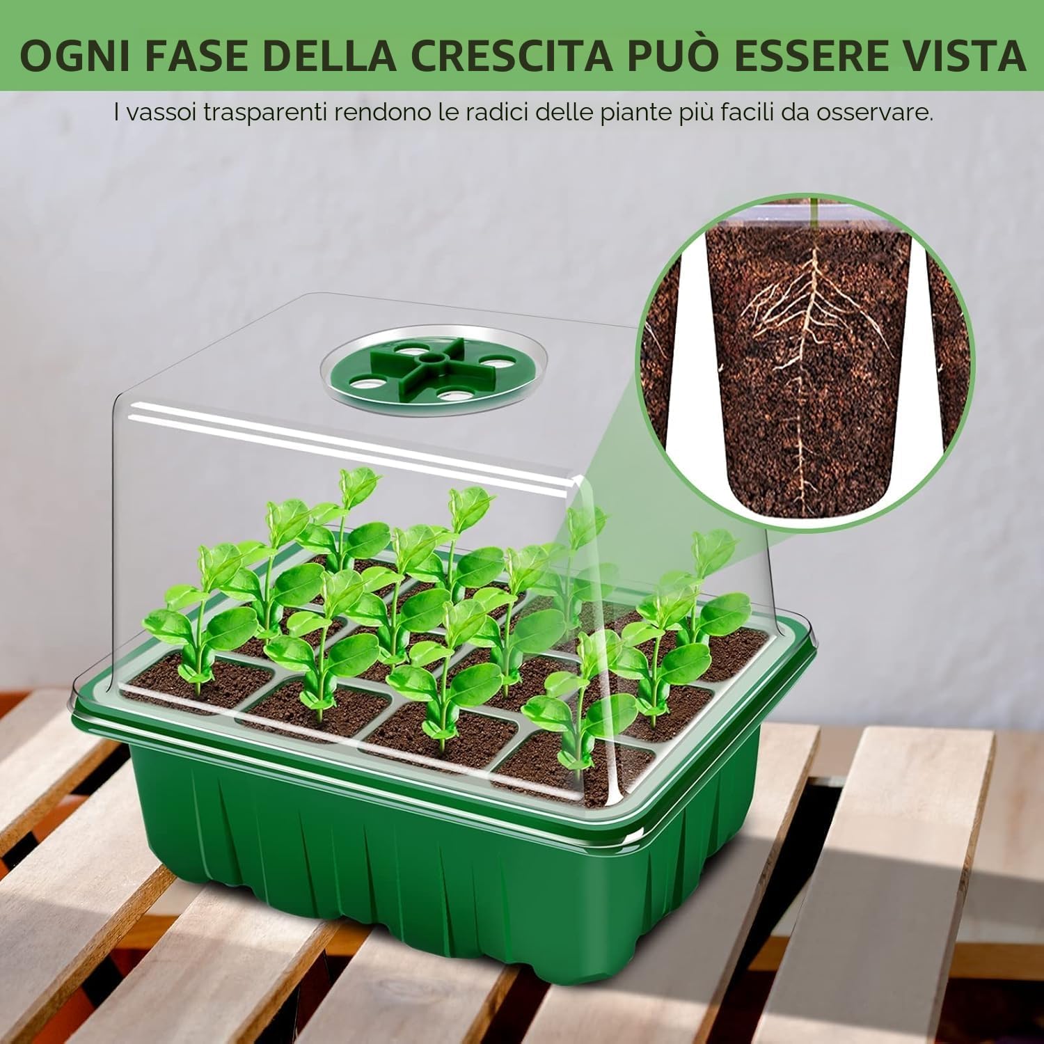 YAUNGEL Vassoi per semi, 10 Pack 120 Cells Propagator con coperchi rialzati, vassoi per la crescita delle piantine con finestra regolabile per serre e giardini, Verde