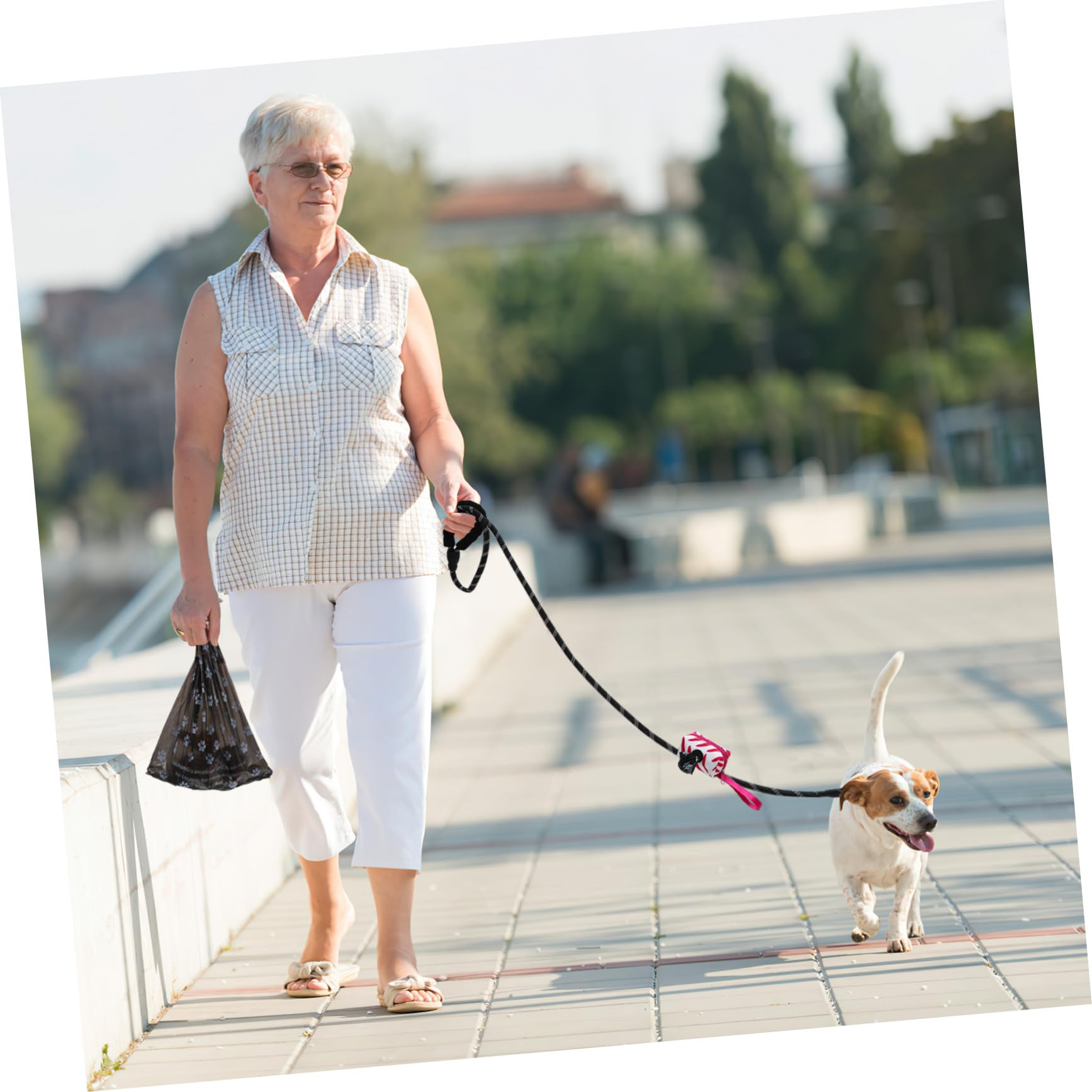 Gatuida Laisse pour Chien Nylon avec Distributeur et Sacs à Déjections Pet Supplies Extérieur pour Chiens Petits et Moyens
