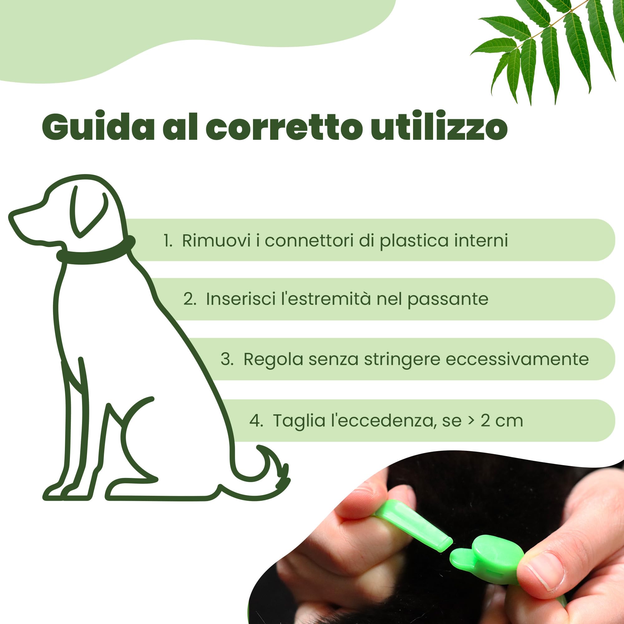 CAMON | Collare Barriera per Cane Olio di Neem, Rilascia Un Gradevole Odore, Resistente all'Acqua, Protezione per Circa 2 Mesi, 60cm