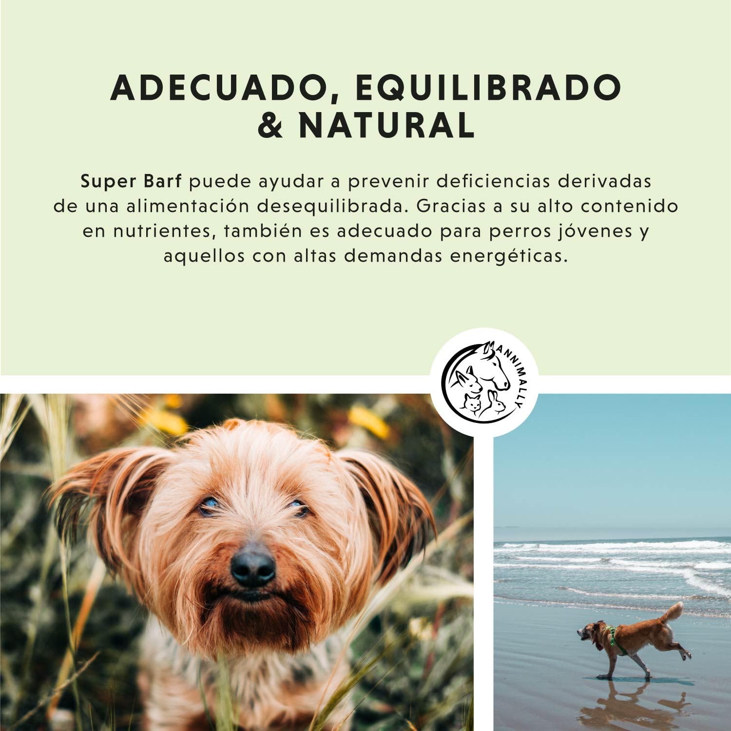Annimally Barf Polvo Suplemento para Perros 1 kg, Barf Complete Mezcla de Vitaminas y Minerales para una nutrición óptima - Suplemento Alimenticio de Minerales para Perros con Verduras y Vitamina