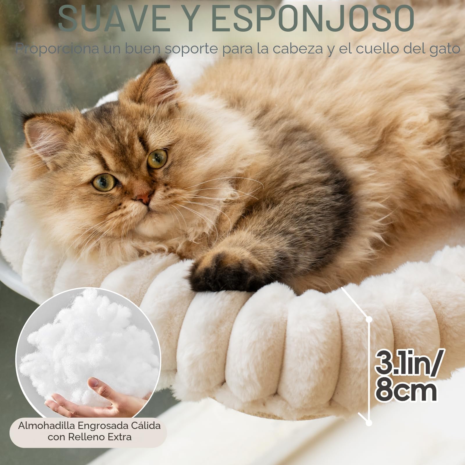 EDAGNY Hamaca de Cama para Gatos de Interior, Plegable, Funda Reversible, Felpa, Resistente hasta 18 kg (Blanco, M)