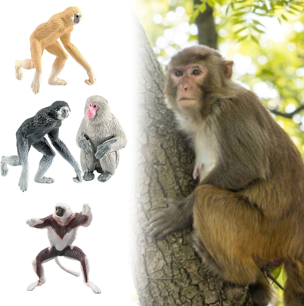 Amazon.co.jp: 10 サルとゴリラの置物 | アクションフィギュア,ミニ
