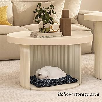 Amazon.com: EKDJSN Coffee Table, Split-Level Combination