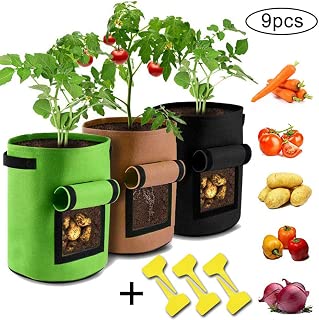 Amazon.es: cultivo patatas - Bolsas / Recipientes para plantas y ...