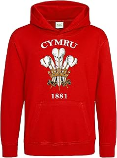 Purple Print House Baby,Clothing,Baby Boys 0-24m,Hoodies & Tracksuits,Hoodies Cymru 1881 Baby Hoodie, Wales Rugby Gifts for Toddler, Prince Of Wales Feathers Gift, Cymru Rugby Boys Hoody, Wales Present For Baby Boy and Girl