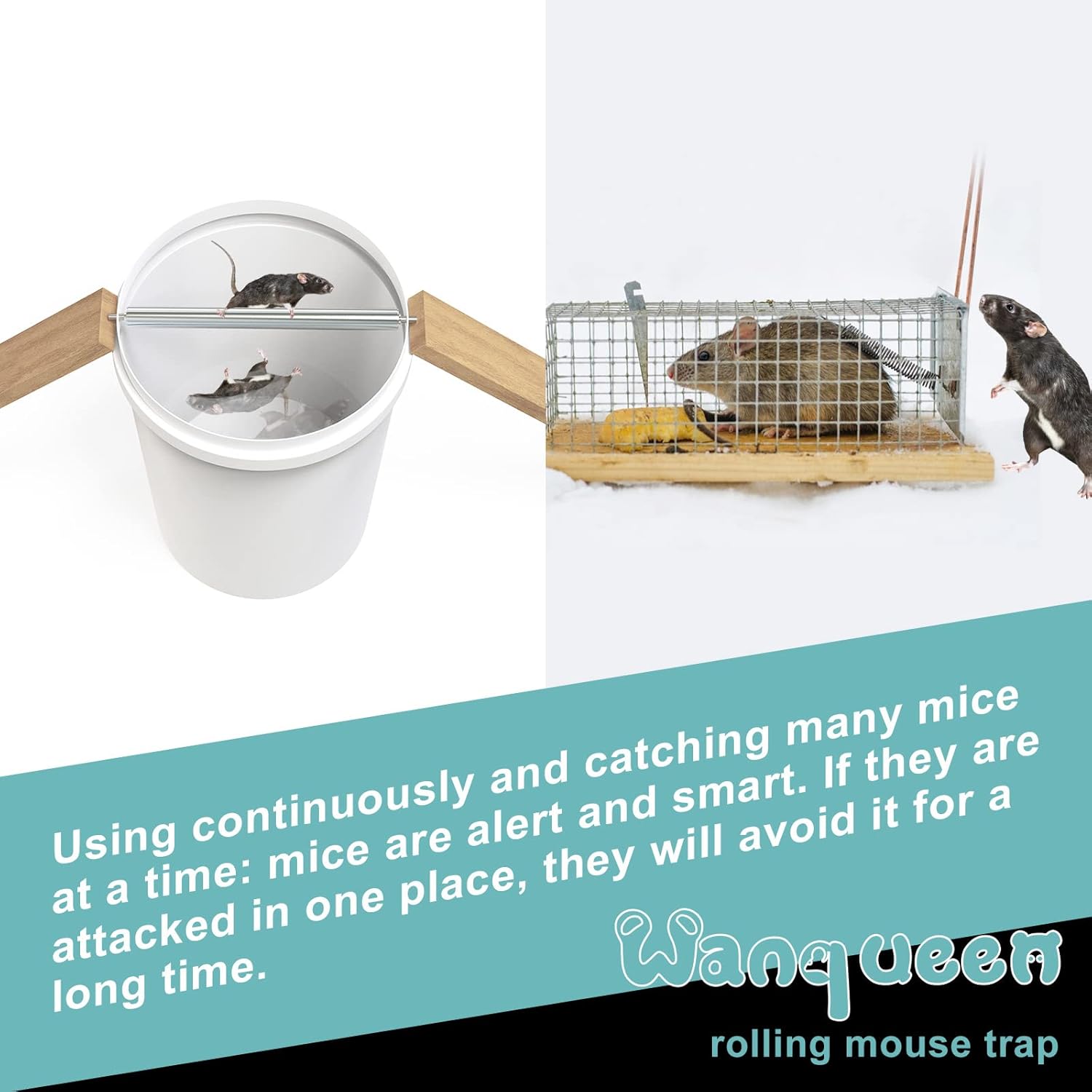 Buy 2 Pack Rolling Log Mouse Trap, Rat Traps for House, Mouse Trap