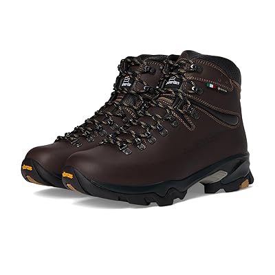 Zamberlan Vioz GTX Men