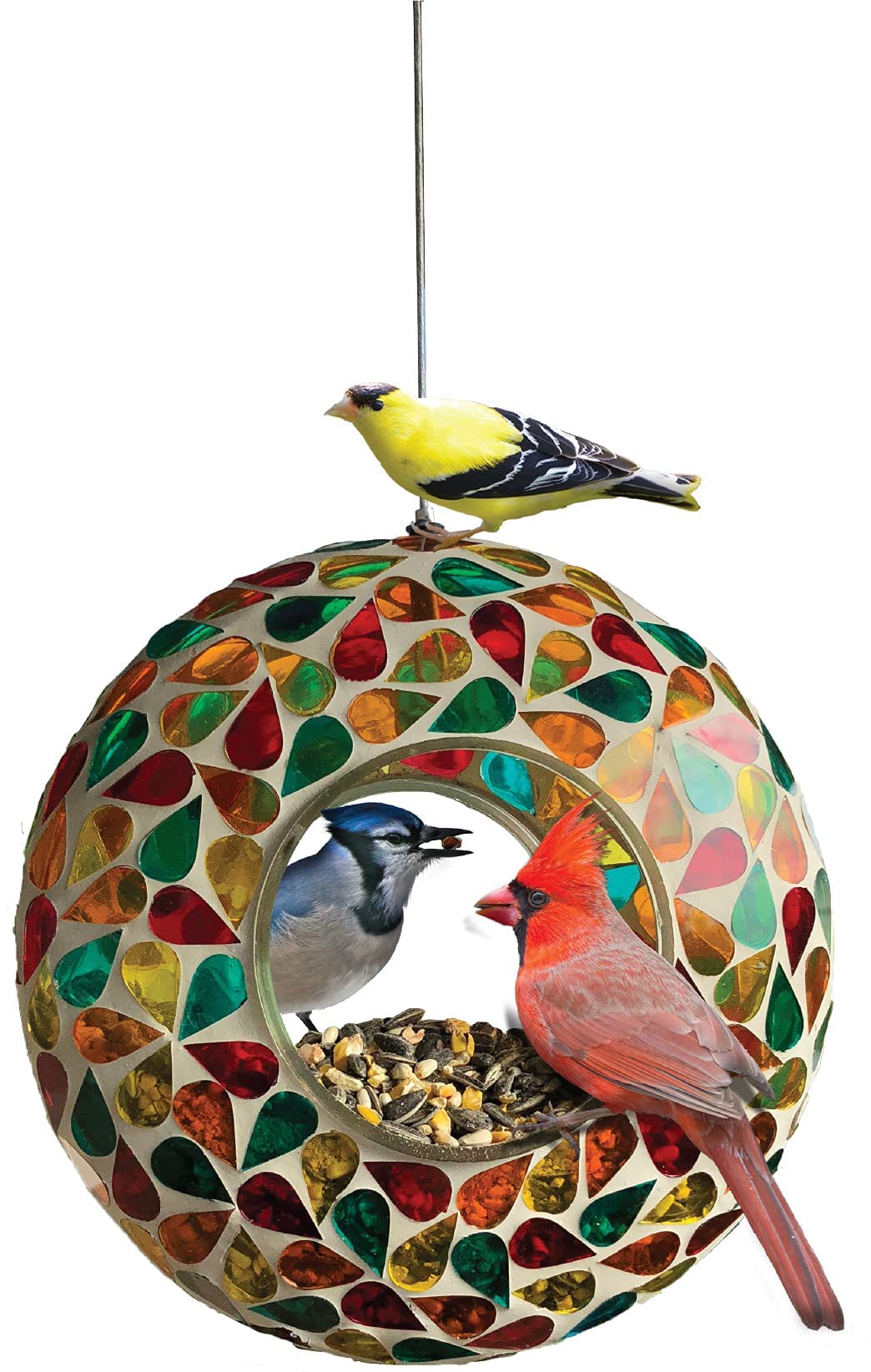 10 Best Unique Mockingbird Bird Feeders for Your Backyard