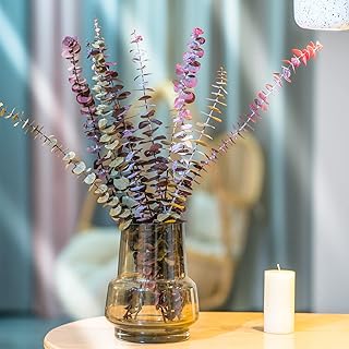 Inspireyes Preserved Fresh Eucalyptus Branches 10Pcs, 23 inch Dried Eucalyptus Stems for Flower Arrangements Wedding Home ...