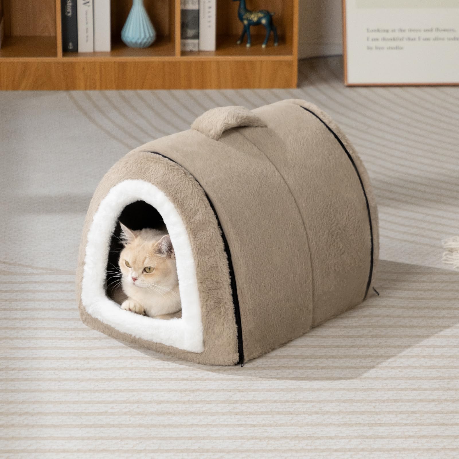 Hollypet Cuccia per Gatti e Cuccioli, Letto in Peluche Pieghevole 2 in 1 per Animali Domestici, Accogliente e Morbido Cuccia per Interni & Esterni, Marrone Chiaro