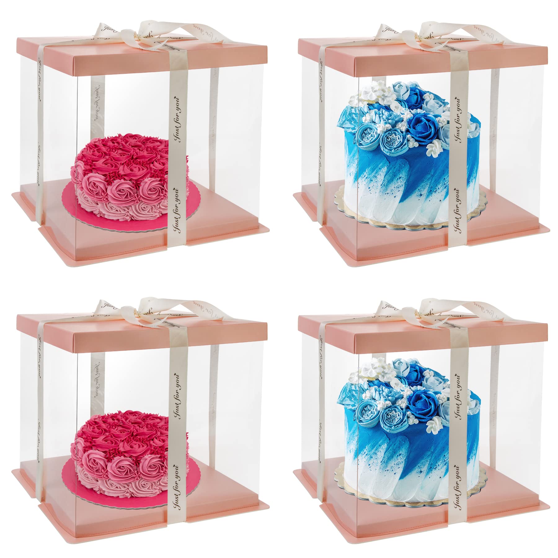 Clear Cake Boxes - 2 Pack for Birthday & Parties -8