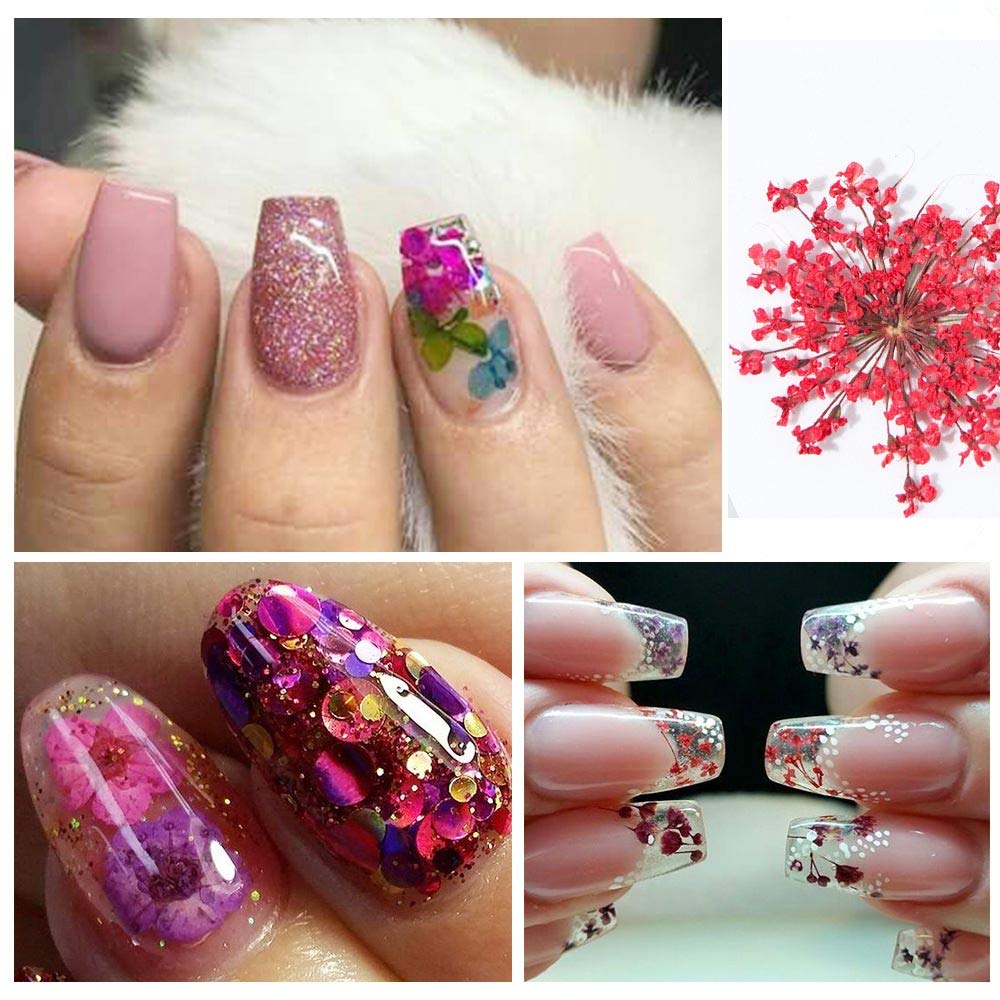 GOTONE 120pcs Dried Flowers 3D Nail Art Stickers Decoration DIY Preserved Real Flower Stickers Tips Manicure Decor Mixed Accessories,80pcs Starry+40pcs Five Flower with Leaves (2 Boxes)