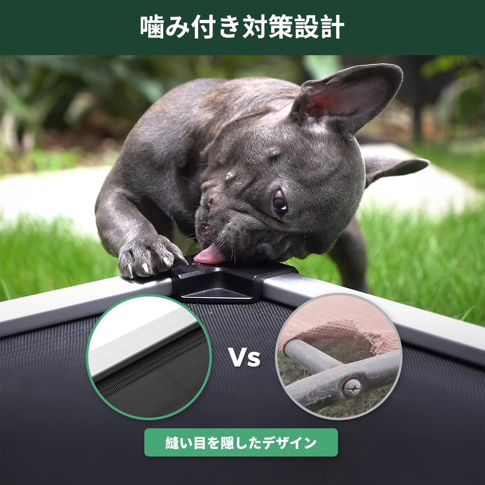 通気性メッシュの噛みに強い高床式犬用ベッド Amazon | FXW TitanNest 通気性メッシュの噛みに強い高床式犬用ベッド