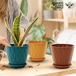 YNNICO 6 les pots végétaux de pouce, 5 Pack Pots de fleurs à l'extérieur intérieur, Planter avec trous de drainage et Sauces de bac(Multicolor)