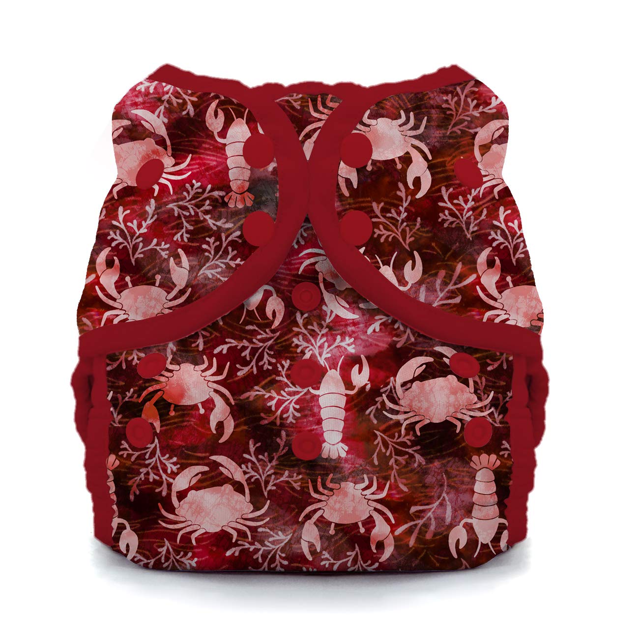 Thirsties Reusable Swim Diaper, Snap Closure, Desert Bloom Size Two (18-40 lbs) : Clothing, Shoes & Jewelry