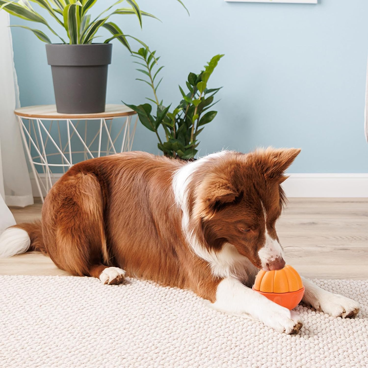 LIFLIX Dog Enrichment Toys, Dog Frozen Treat Toys, Interactive Dog Toys for Large Breeds, Treat Dispensing Dog Toys in Orange Shape