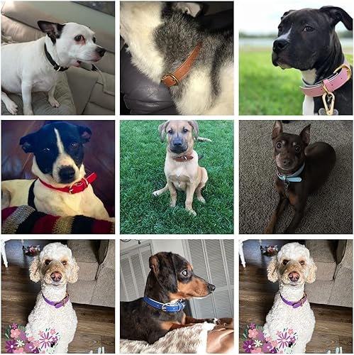 Miniatura 5 de Hotlion Collar de perro de cuero auténtico, clásico, suave, acolchado, ajustable, para gatos, gatitos, cachorros, perros pequeños y medianos, rosa, S