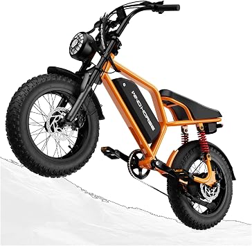 WINDHORSE Electric Bike for Teens, 750W Rated Motor,16 * 4" Fat Tire