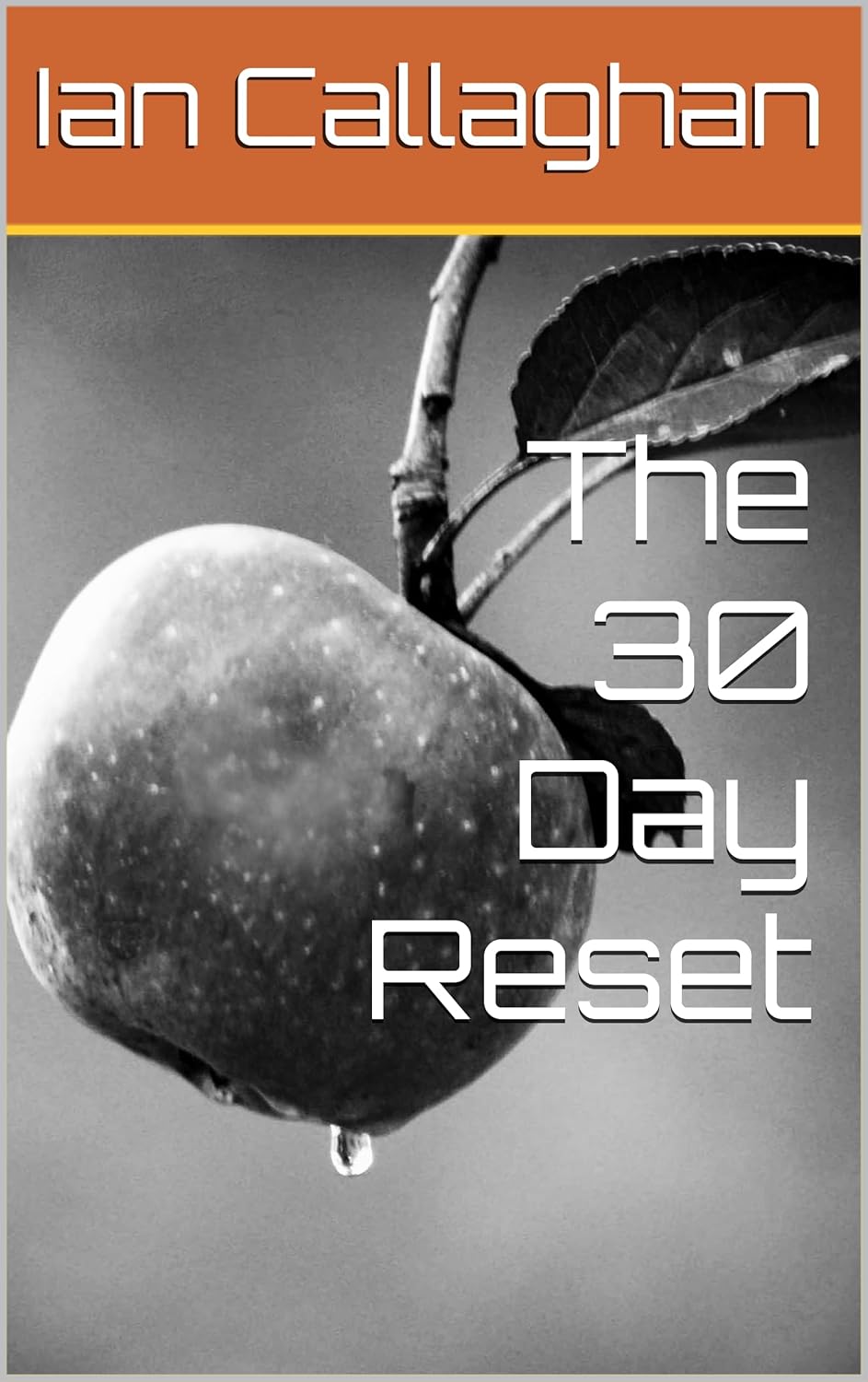 The 30 Day Reset      Kindle Edition