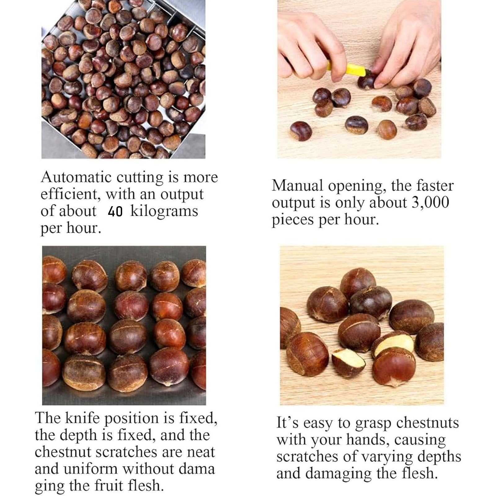 Scantonatrice per castagne, utensile semiautomatico per incisione 40 kg/h, direzione di apertura regolabile per castagne, perfetta per uso commerciale