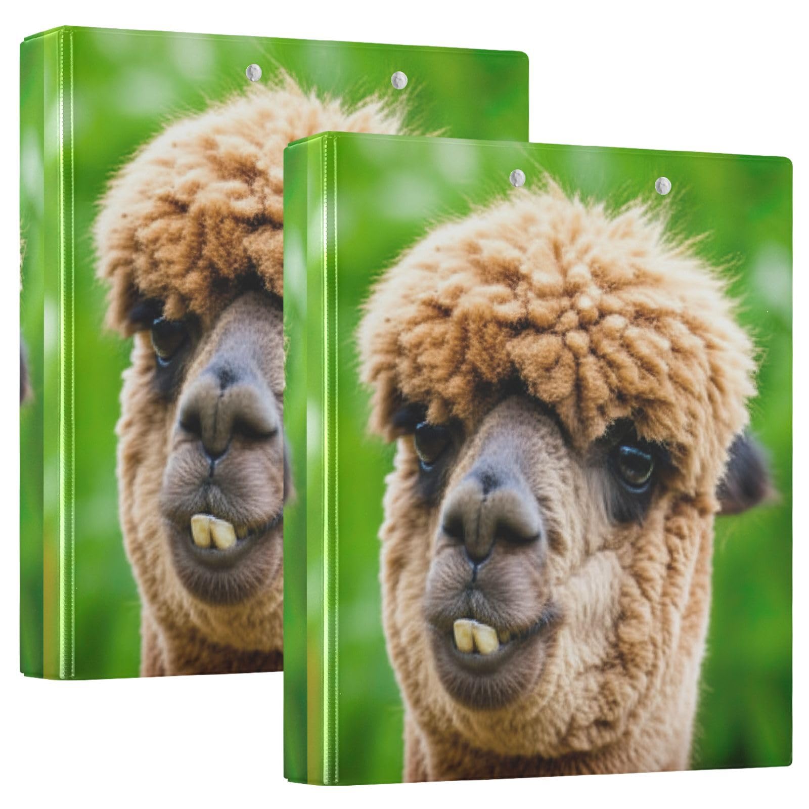 Funny Alpaca - Raccoglitore a 3 anelli da 3,8 cm, con portablocco a D e 3 raccoglitori per scuola, università, ufficio (confezione da 2)