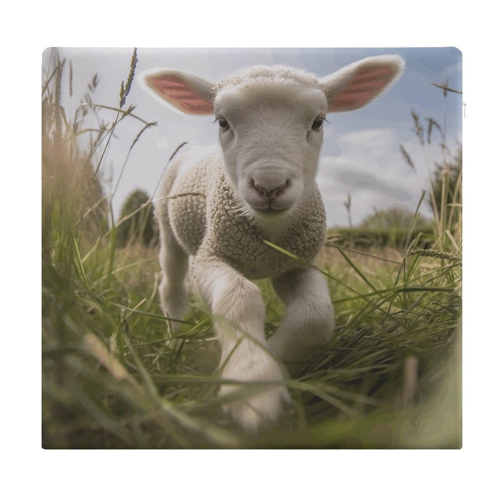 Adfgyerh Style Sheep Running On Grass Cushions Memory Foam For Adults, Seat Cushion Chair Pads Soft, Square Pillows For Dining, Kitchen, Office, Patio Chairs