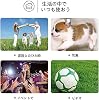 Digital Camera, Compact Digital Camera, 1080P, 24 Megapixels, 8X Zoom, 3.5 Inch LCD, Compact, Continuous Shots, Portable, Convenient, Rechargeable, SD Card Supports Up to 64 GB, Japanese
