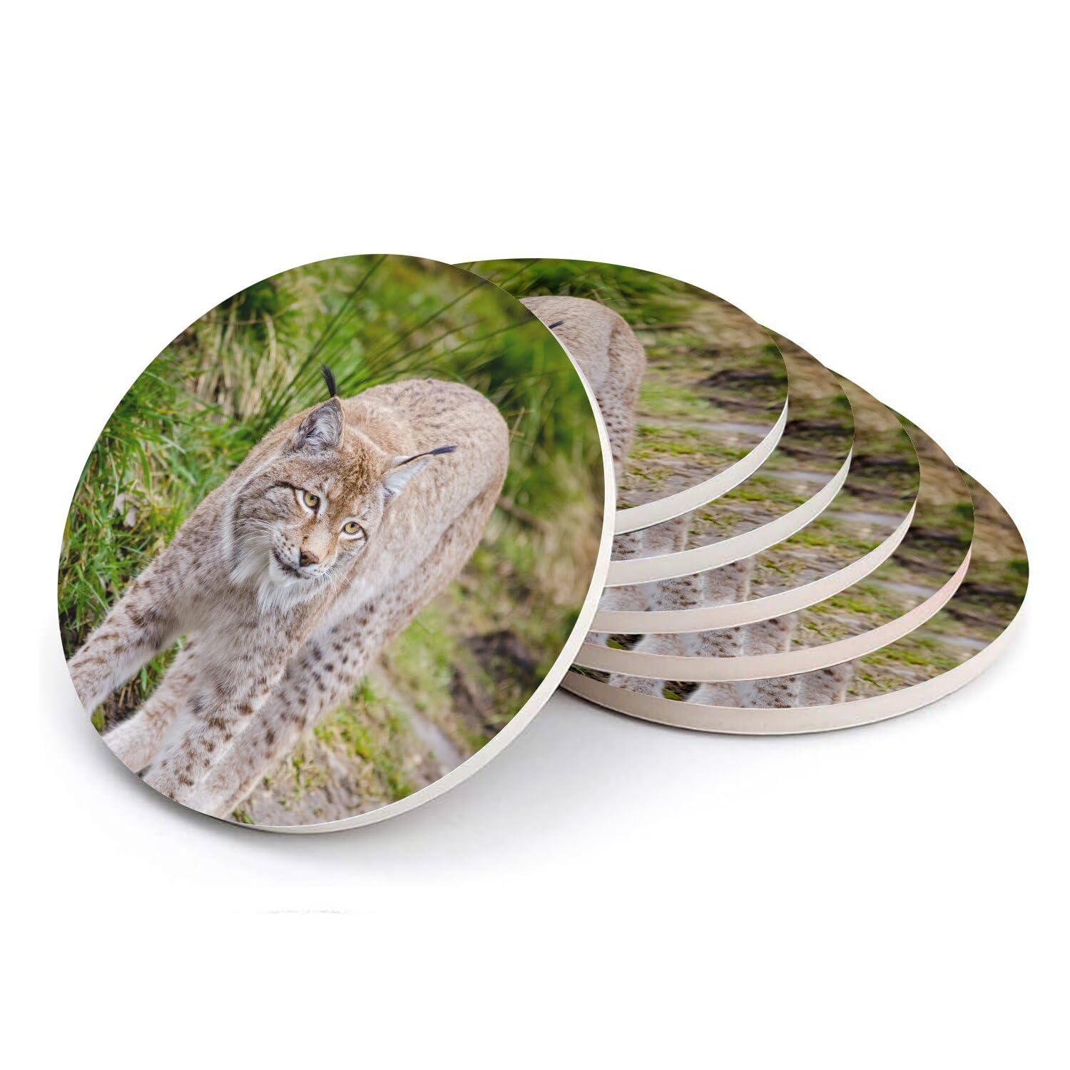 Sous-verre ronds en céramique Grand Lynx photo nature lot de 6 dessous de verre