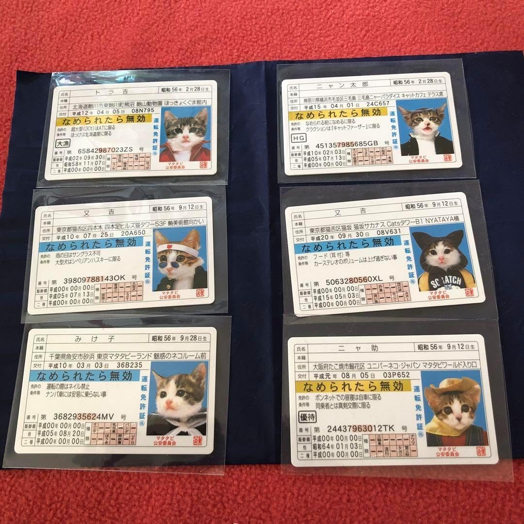 なめ猫 免許証6枚Fullセット♪+ α （復刻版）オマケ なめ猫