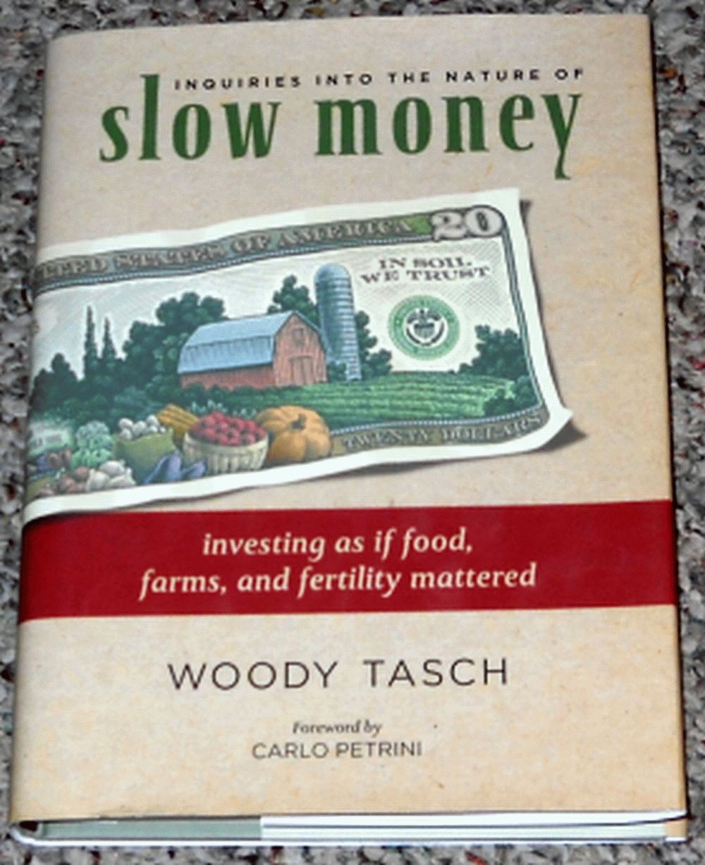 Buy Inquiries Into the Nature of Slow Money: Investing as If Food, Farms, and Fertility Mattered — BookShops.in