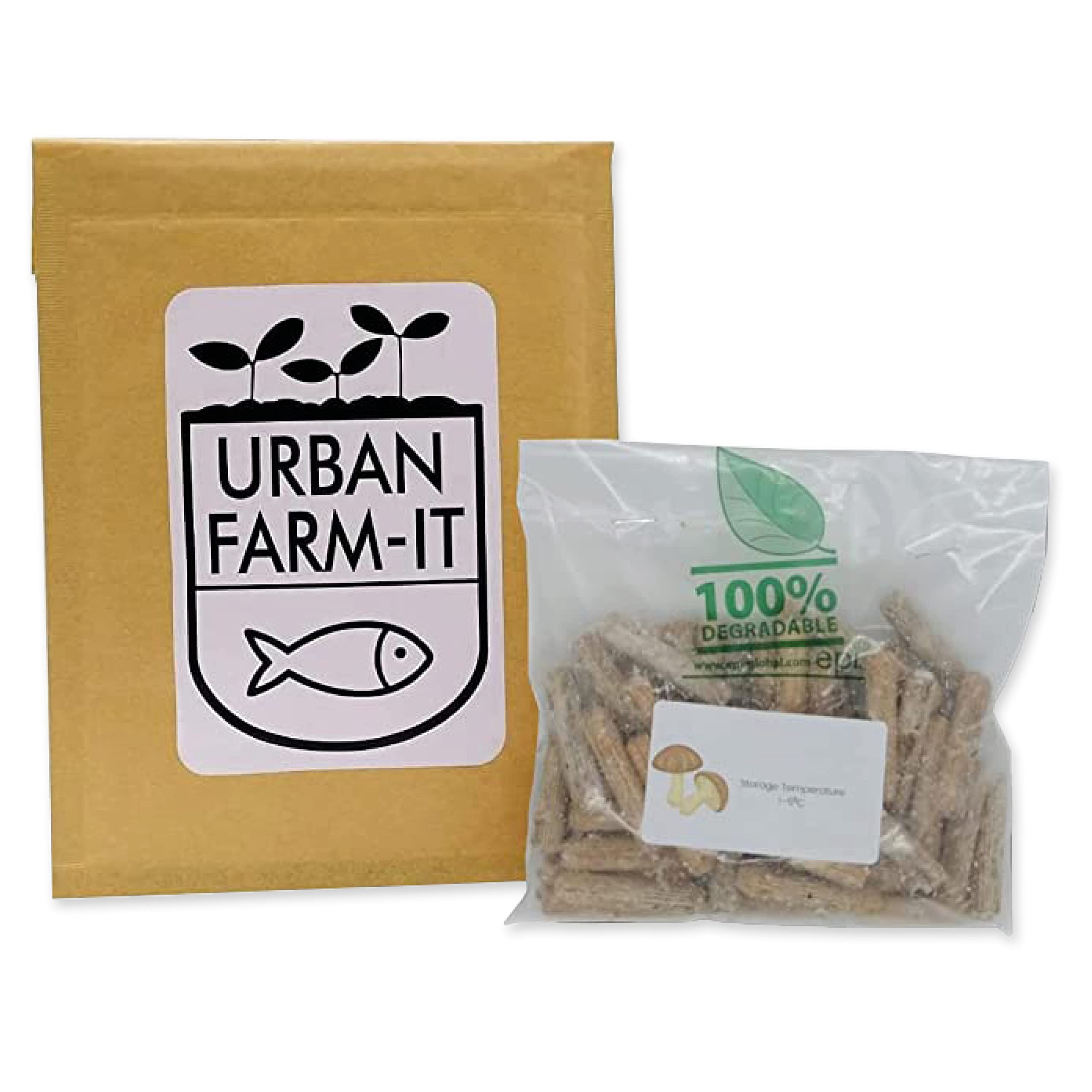 Urban Farm-It Blue-Grey Oyster Mushroom Plugs (50) | Ready to Inoculate in Log (Log NOT Included) | Gardening Gifts for Women, Men & Kids | Fun, Easy to Use & Delicious to Eat | Sustainable & Reliable