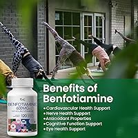 Vista 5 de VHC Suplemento de vitamina B1 Benfotiamina de 600 mg, 5 veces soluble en grasa tiamina vitamina B1 - Max Boost biodisponible tiamina B1 niveles