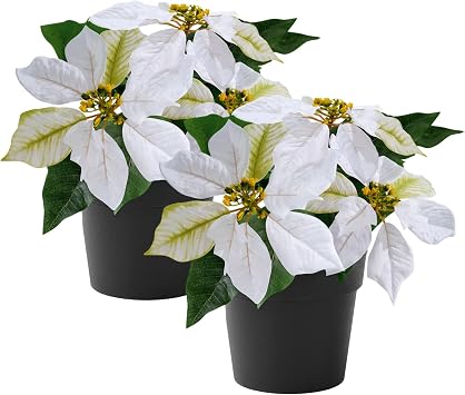 Poinsettias Artificial Christmas Flowers Tabletop 2 Pack Small Poinsettia Plant Artificial 9 Inch Faux Winter Flowers for Xmas Ornament Porch Home Garden DecorationsCream