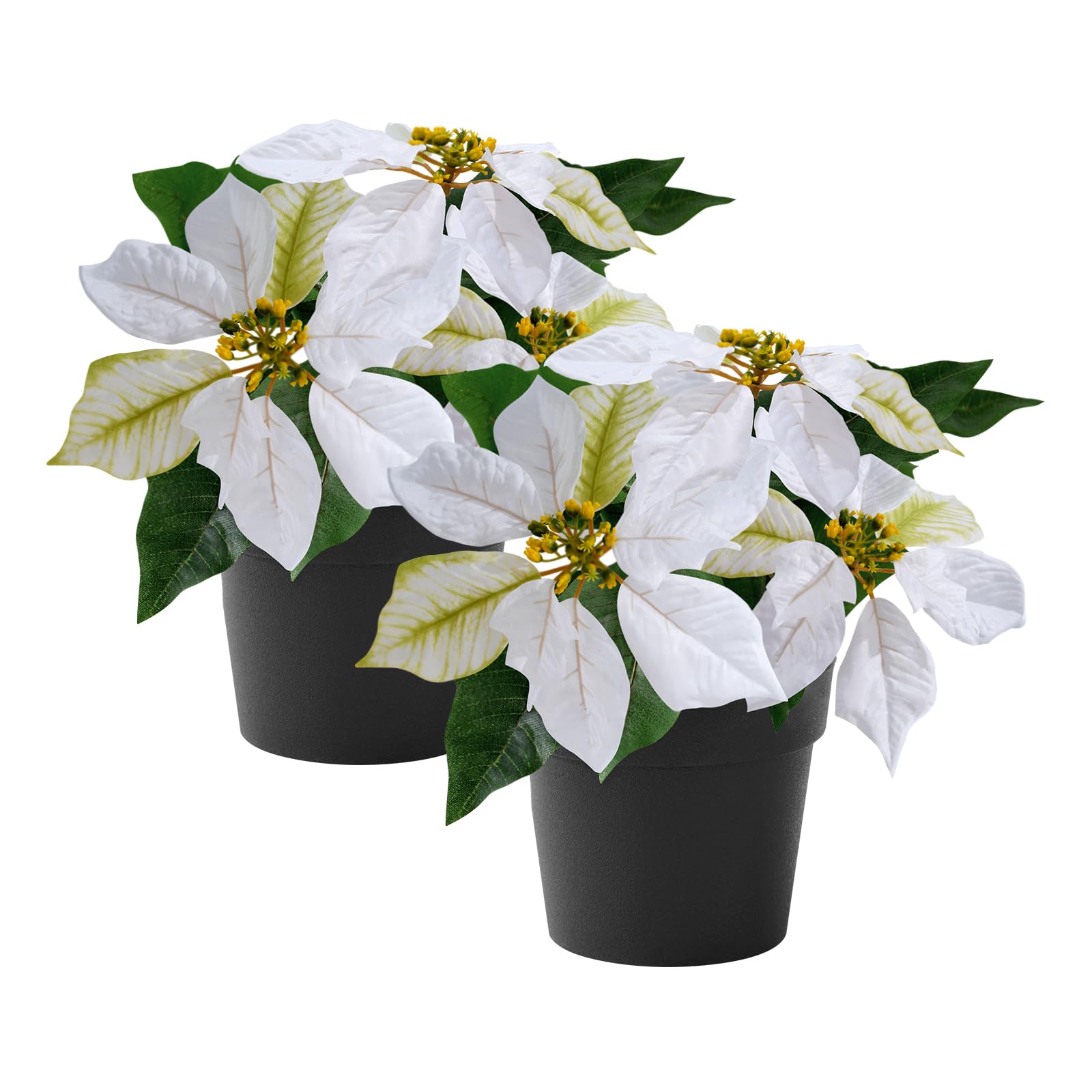 Künstliche Weihnachtssterne, 2 Stück, kleine Weihnachtssterne, 22,9 cm, künstliche Winterblumen für Weihnachten, Ornament, Veranda, Haus, Garten, Dekorationen (cremefarben)