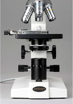 AmScope B100-MS Compound Binocular Microscope, 1000X Magnification