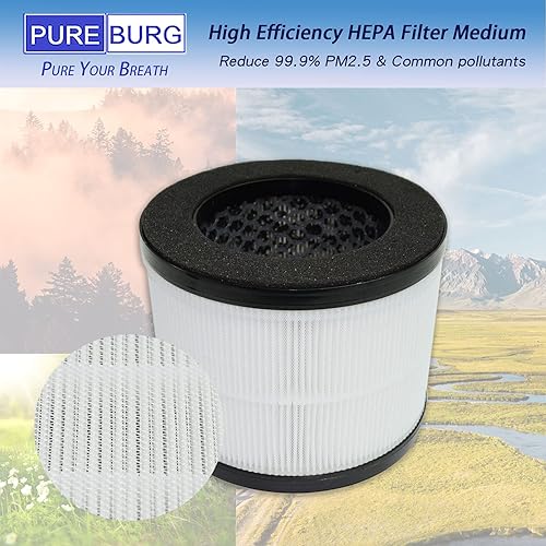 Miniatura 5 de PUREBURG Filtro de repuesto compatible con el purificador de aire Okaysou Airmic4S, paquete de 2 compuestos orgánicos volátiles H13 HEPA de 4 etapas