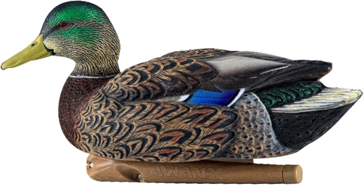 Avian X Topflight Early Season Mallard Duck Decoys, Floating Hunting Pack with Realistic Paint and Motion Keel