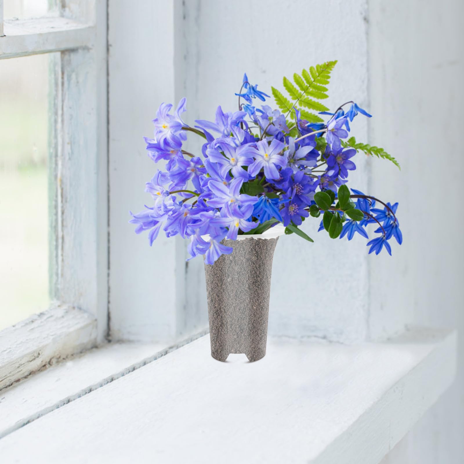 5 Piezas Macetas para Orquídeas Domésticas de Plástico
