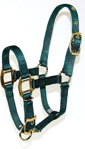 Miniatura 9 de Hamilton Pet & Equine Hamilton - Caballo ajustable de nailon (34 pulgadas), color rojo