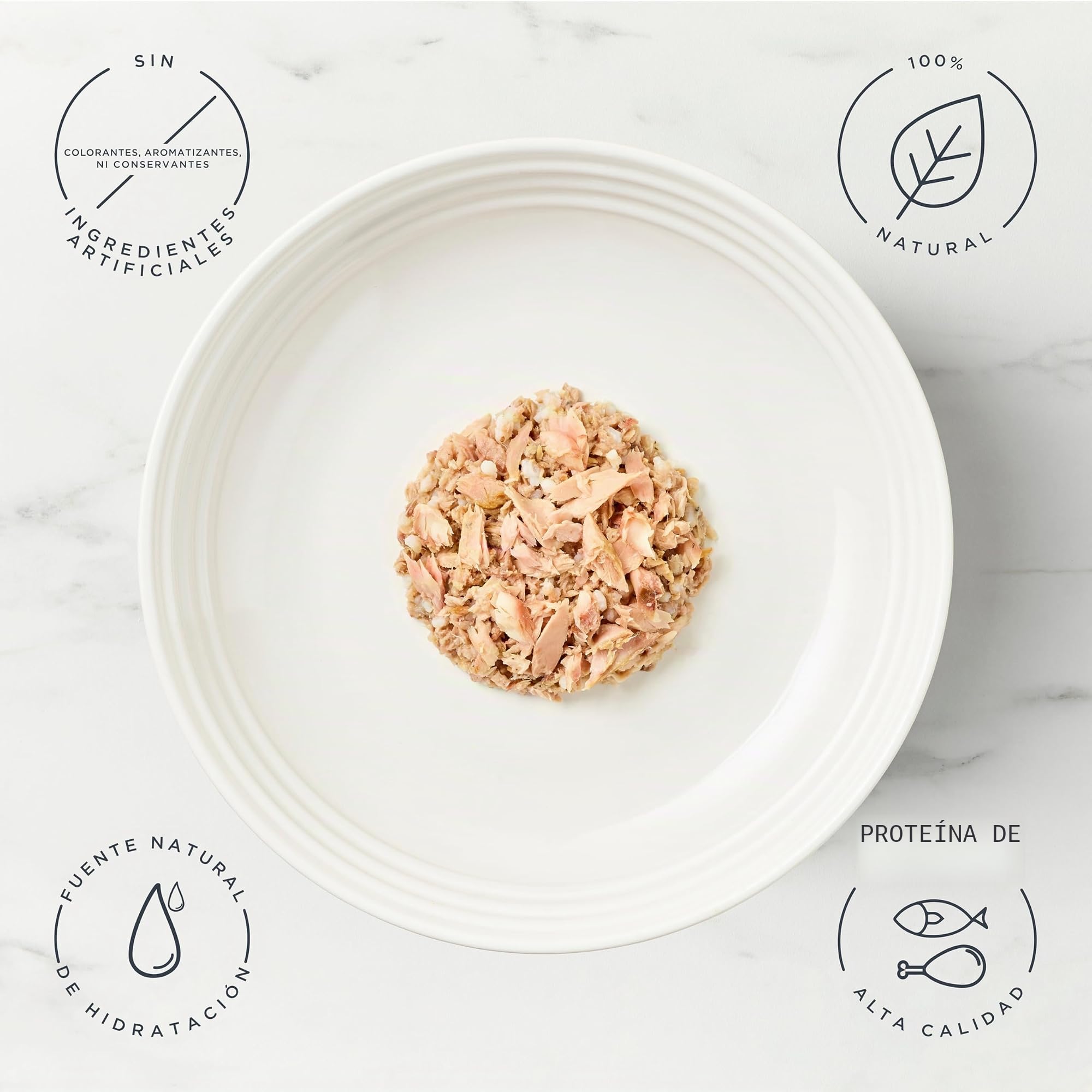 Encore Comida Húmeda Natural Gatos, Multipack de Selección de Pescado en Caldo para Gatos Adultos, Paquete de 48 Latas de 70 g