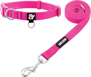 azuza Nylon Dog Collar and Leash Set, Strong & Durable Basic Style Leash and Collar with ID Tag Ring, Available in Multiple Lengths for Puppy and Small Dogs, Hot Pink,XS