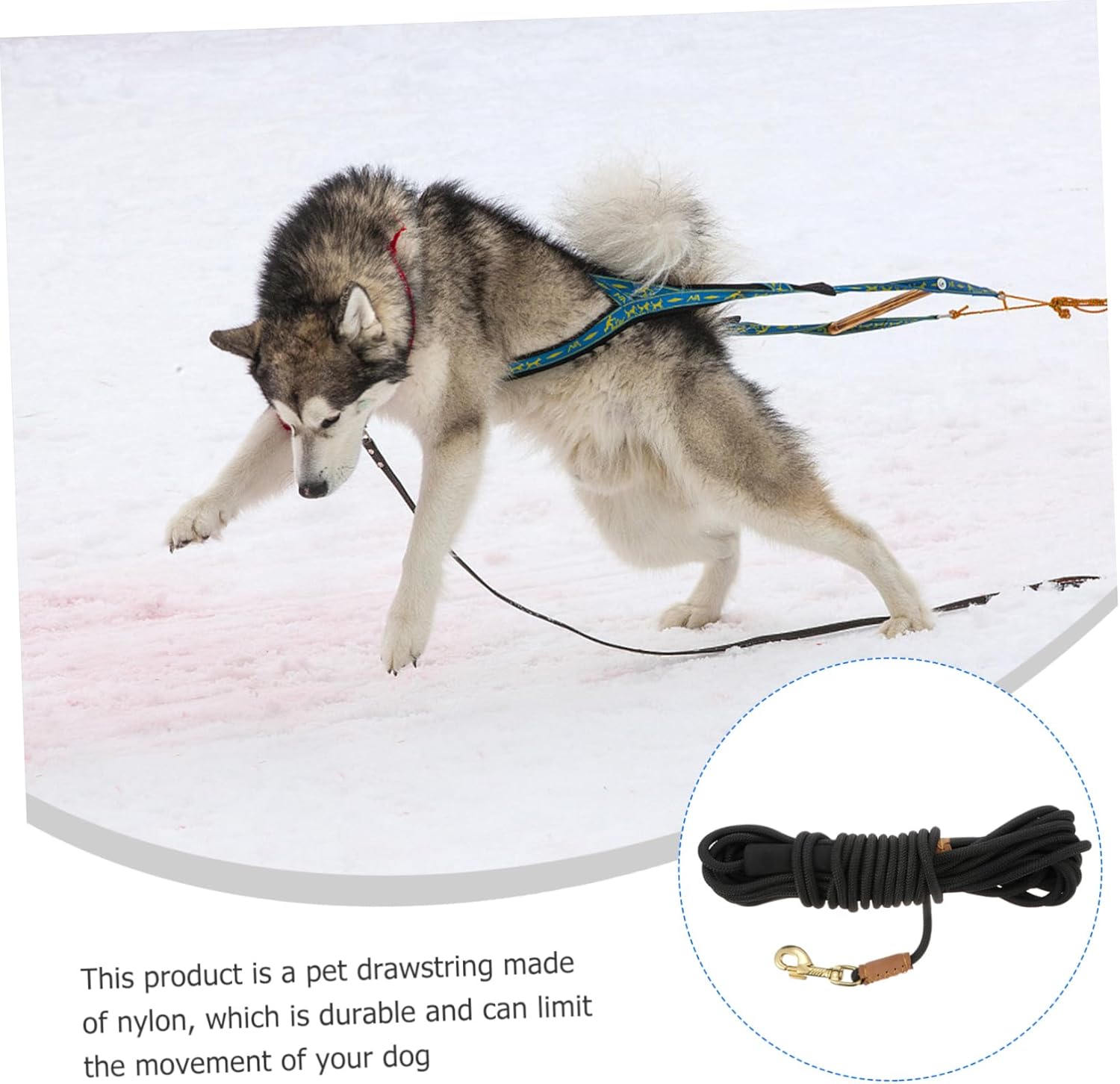 Dog Traction Rope Sturdy Pet Training Leash for Walking Control Tear Resistant Easy to Use for Dogs for