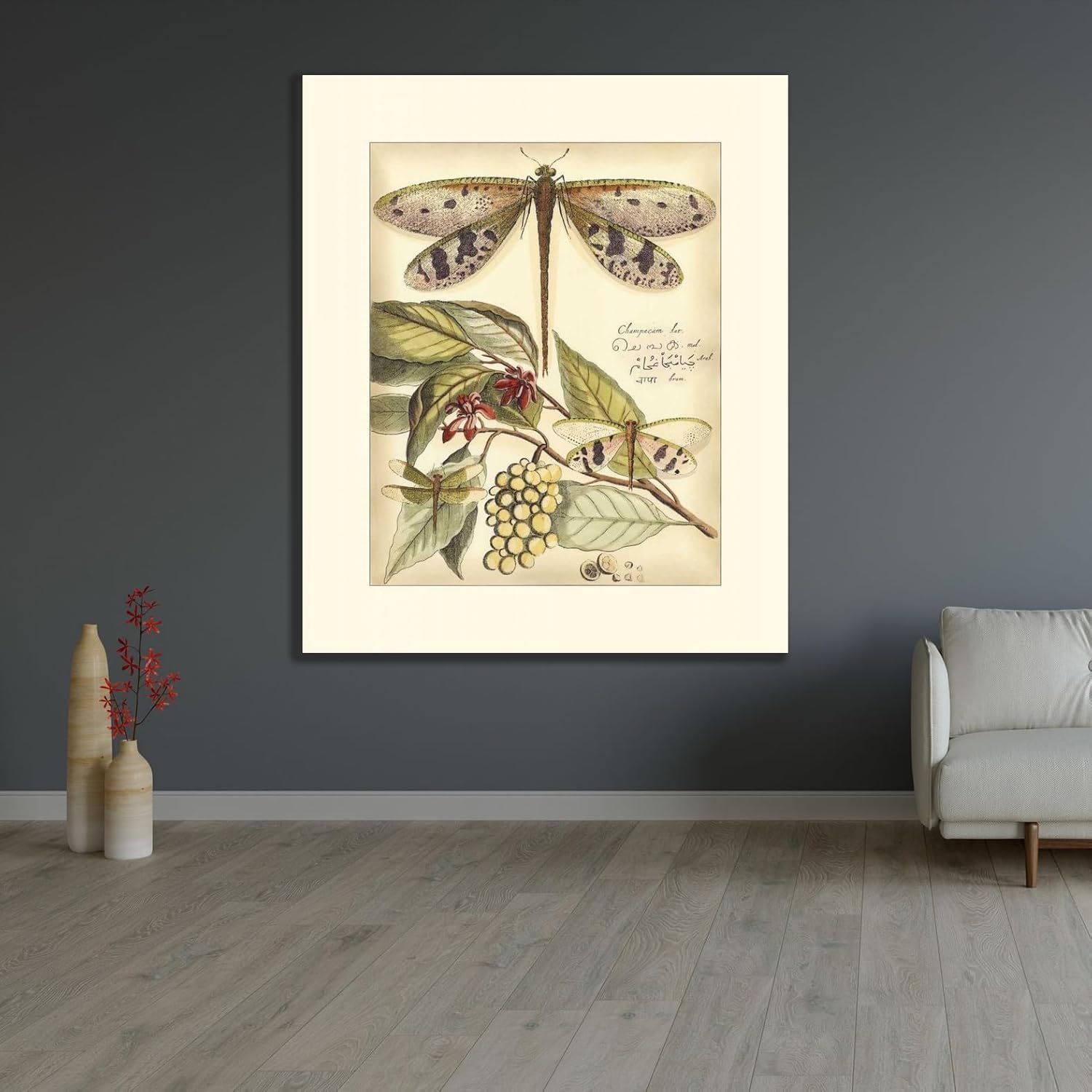 ArtDirect Whimsical Dragonflies I Unframed Art Print Giclee Poster by Vision Studio - Ready for Framing with Customization Sizes 8x10, 11x13, 16x19, 24x29, 36x43, and 48x57 Inches