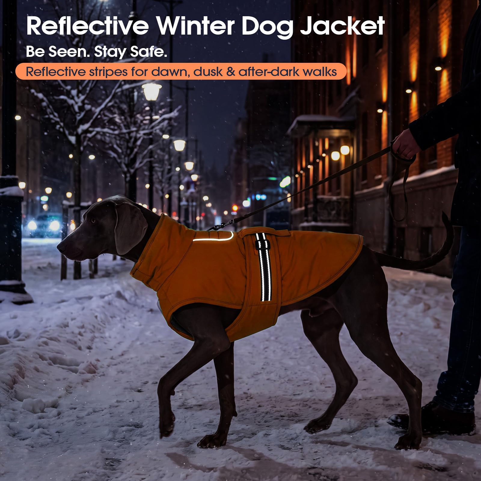 IECOii Manteau pour chien par temps froid, veste de neige réfléchissante, réglable et coupe-vent pour bouledogue français et corgi, gilet chaud imperméable avec doublure en polaire pour aventures en