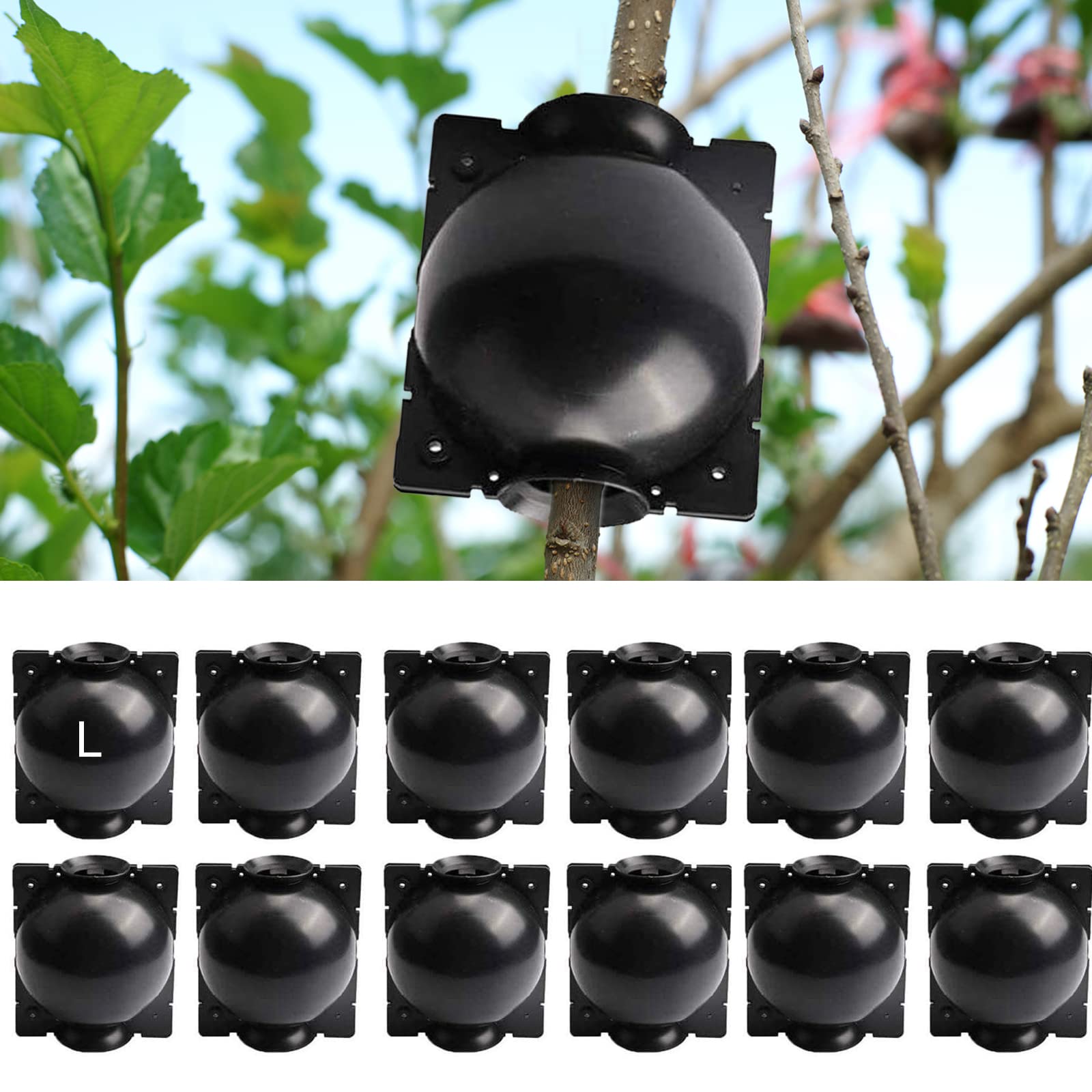 12 unidades de dispositivos de enraizamiento de plantas, cajas de cultivo de raíces de plantas para propagación de plantas, bola de enraizamiento de propagación razonable para plantas de corte